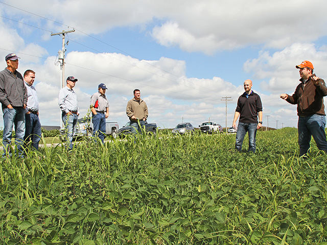 Neighboring farmers attended a field day last summer at Brown Farms, near Decatur, Ill., to learn more about cover crops. (Progressive Farmer photo by Pamela Smith)